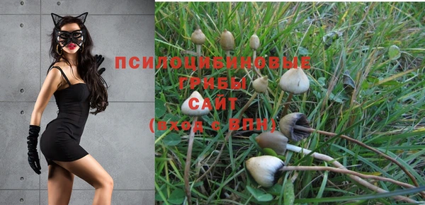 индика Куйбышев