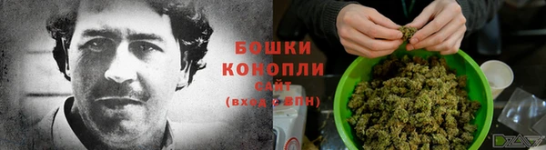 индика Куйбышев