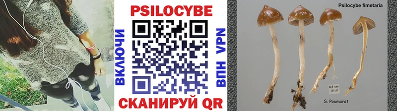 blacksprut онион  где найти наркотики  Болгар  Псилоцибиновые грибы Cubensis 